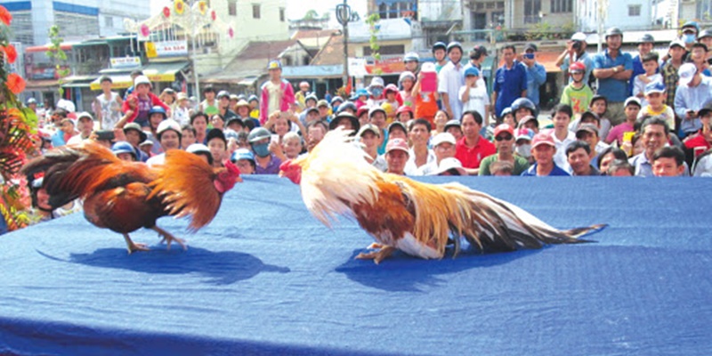 Người chơi cần giữ tâm lý bình tĩnh, không hơn thua để cuộc chơi trọn vẹn